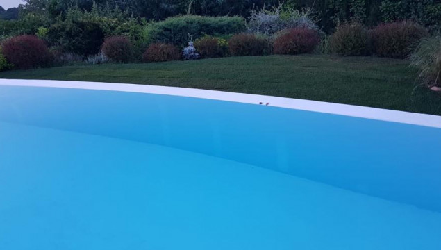 Pool Renovierung Pool